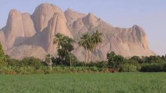 نص غنائي * وراءالاكمة * للشاعر حفيظ الامراني