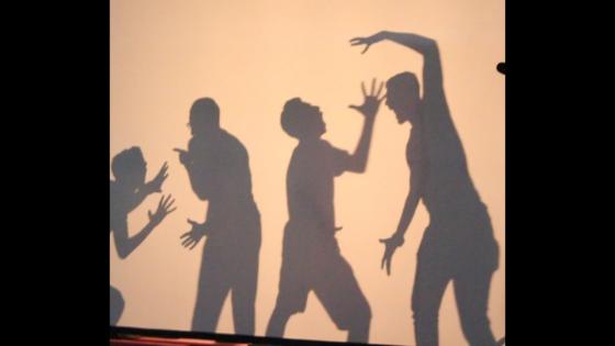 “خيال الظل” للكاتب والشاعر محمد كمل