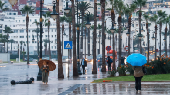 زخات رعدية محليا قوية وتساقطات ثلجية وطقس بارد من الأربعاء إلى السبت بعدد من مناطق المملكة (نشرة إنذارية)