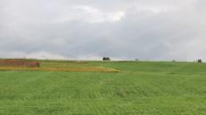 توقعات أحوال الطقس لليوم الخميس