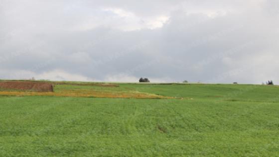 توقعات أحوال الطقس لليوم الخميس