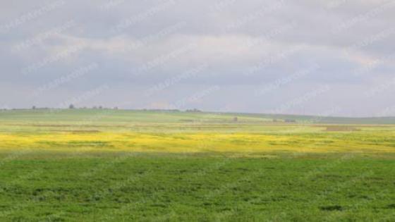   أحوال الطقس اليوم الأربعاء