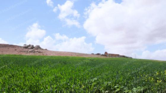 أحوال الطقس لليوم الجمعة