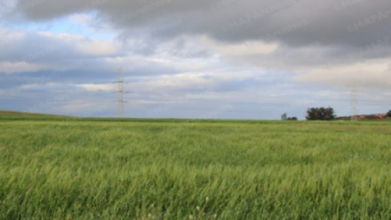 توقعات أحوال الطقس اليوم السبت