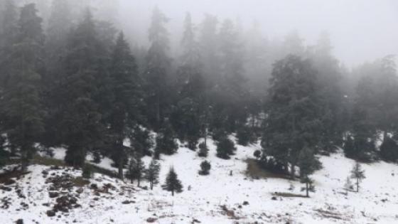 تساقطات ثلجية وزخات مطرية وموجة برد ورياح قوية من السبت إلى الثلاثاء بعدد من مناطق المملكة (نشرة إنذارية)