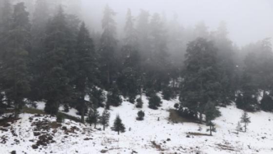 رياح عاصفية قوية وتساقطات ثلجية وزخات رعدية وطقس بارد من الإثنين إلى الأربعاء بعدد من مناطق المملكة (نشرة إنذارية)