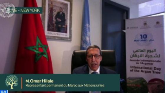 شجرة الأركان.. الأمم المتحدة تدعم رؤية جلالة الملك بشأن الحفاظ على هذا الموروث العالمي (عمر هلال)