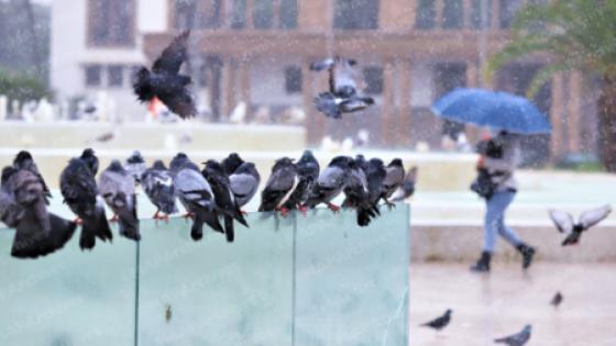 توقعات أحوال الطقس ليوم غد الثلاثاء