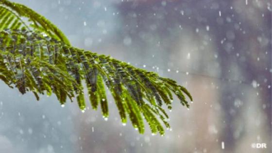 توقعات أحوال الطقس لليوم الجمعة