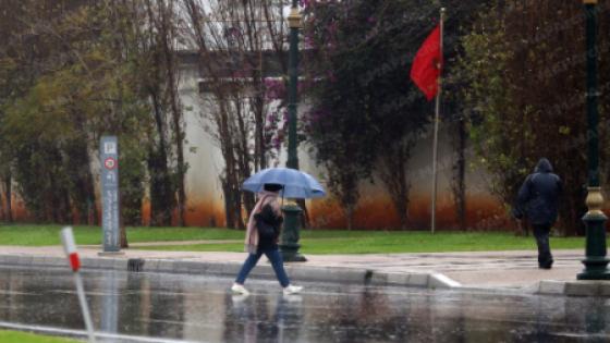 أمطار قوية وهبات رياح وتساقطات ثلجية مرتقبة من السبت إلى الاثنين بعدد من مناطق المملكة (نشرة إنذارية)