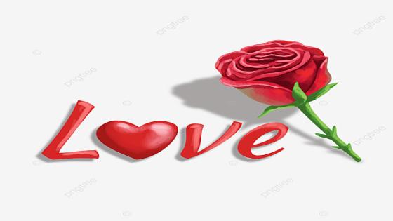 نص غنائي * الحب و الورد * للشاعرحفيظ الامراني