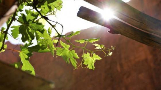 توقعات أحوال الطقس لليوم السبت