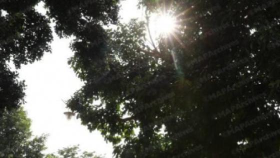 توقعات أحوال الطقس اليوم الجمعة