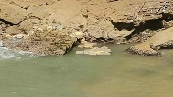 العثور على أكثر من ثلاثة أطنان من مخدر الشيرا ببحر بوقنادل