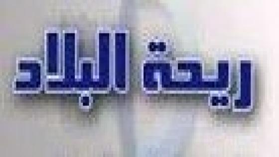 نص غنائي * ريحة البلاد * للشاعر حفيظ الامراني