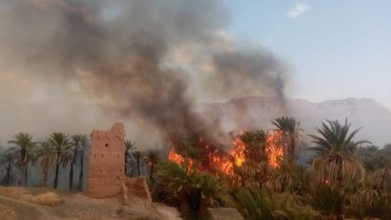 حريق مهول في واحتين بإقليم زاكورة يخلف عدة خسائر مادية