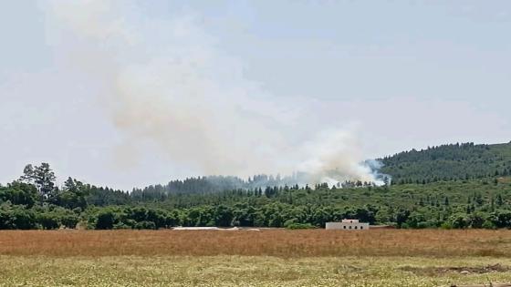حريق مهول يشب في غابة ايزارن بجماعة ابريكشة باقليم وزان
