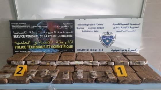 إحباط محاولة تهريب بمعبر باب مليلية