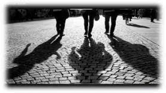 “ظلال” للشاعر بلفقيه البشير