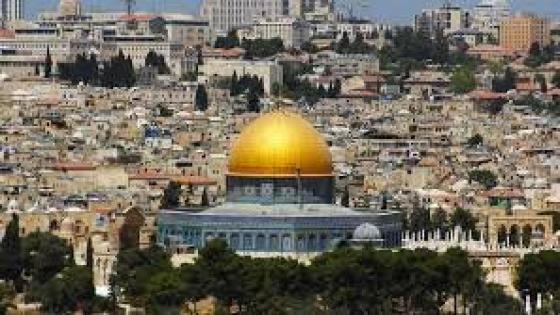 فلسطين بين المقاومة و المساومة