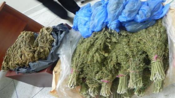 عناصر الدرك الملكي بأمسكرود تحجز حوالي نصف طن من مخدر الكيف