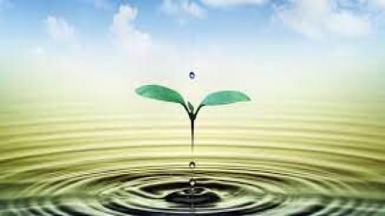 نص زجلي * الخبزة * للشاعر حفيظ الأمراني