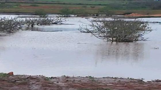 الثلوج تغطي دواوير جماعة أولاد زيد بإقليم الجديدة في سابقة تاريخية