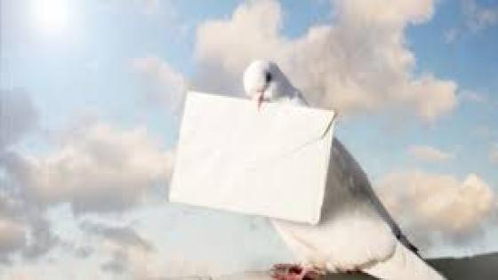 نص غنائي * طيرالشوق * للشاعر حفيظ الامراني