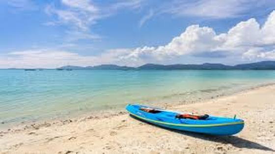 “بحار بلا بوصلة”كلمات وحروف مستحمة في ليالي بالأسود والاسود غزاها شيب الأنين للأستاذ محمد كمل