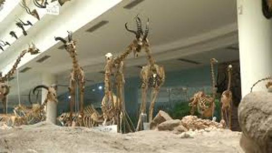 ” متحف الغياب”كلمات للأستاذ محمد كمل