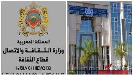 نتائج الدعم الاستثنائي المخصص لمجال الفنون برسم سنة 2020