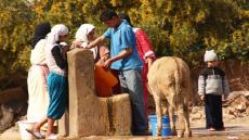 لنتحدث قليلا عن العالم القروي.